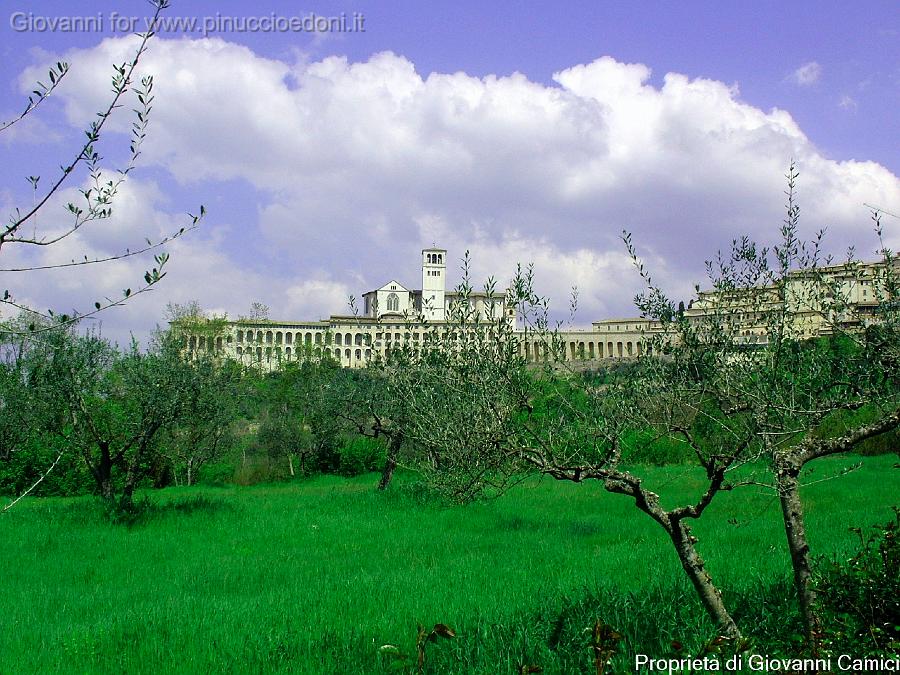 Basilica di San Francesco 8.JPG